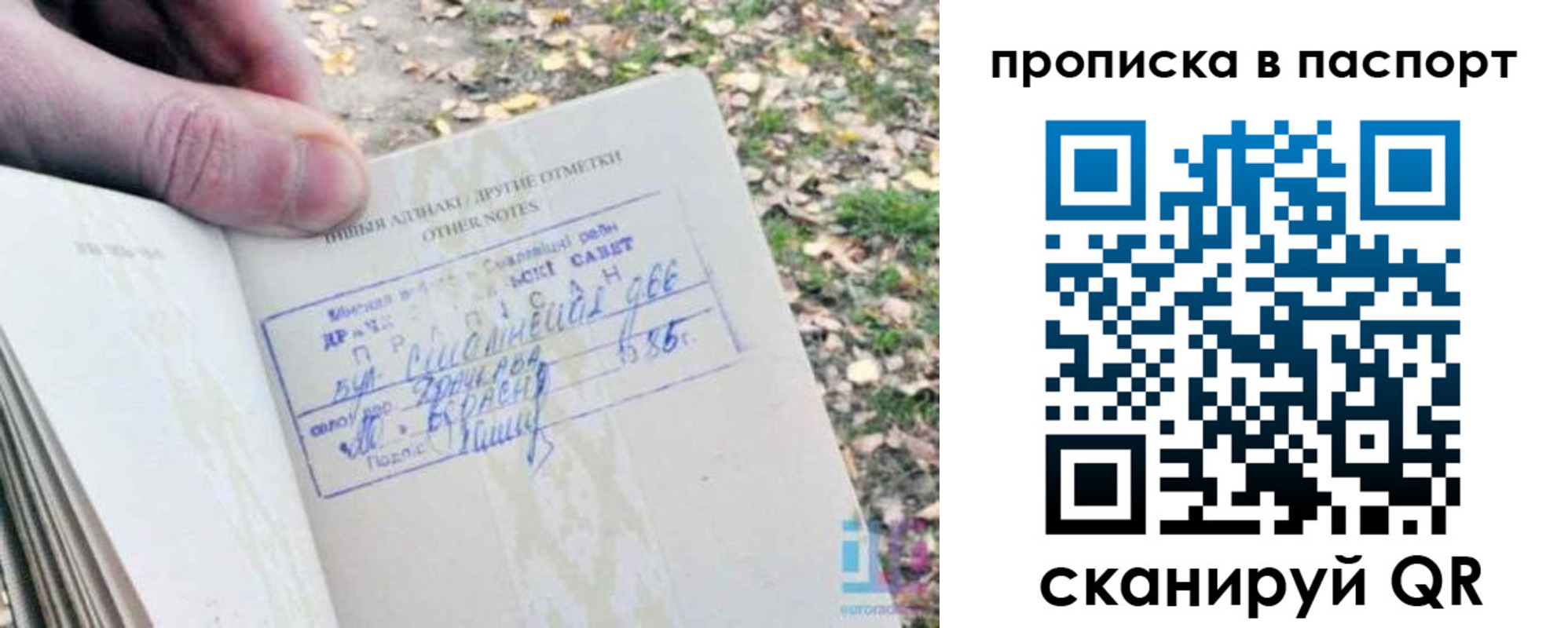 купить прописку в Тимашёвске